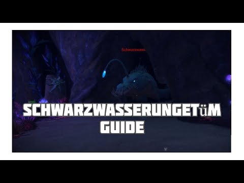 WoW Schwarzwasserungetüm Guide / Der Ewige Palast
