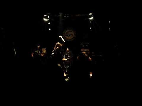 Looking For an Answer sala hollander 27 01 2018 video 1