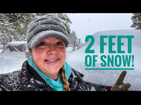 We are TRAPPED on the mountain! #30daychallenge/ep 1