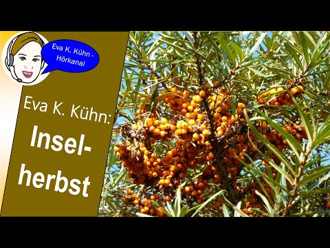 "Inselherbst" von Eva K. Kühn / Gedicht Hörbuch #poetry #herbst