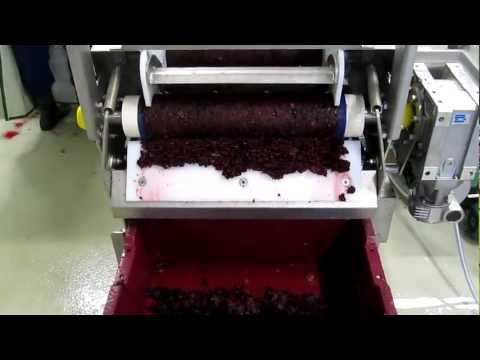 mustsõstramahla pressimine Pollis