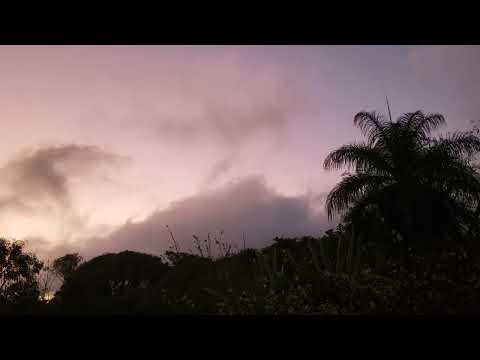 Dave Weckl Band, Chicago (2002)