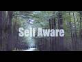 Self Aware [Sped up & Reverb] by Temper City