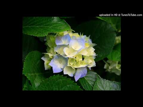 AGIM OSMANI E NAIM BUZHALA kenge per ISMET RRAHMANIN -2016  R.Z