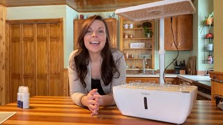 TOTOEBOX Set Up Part 2 | EverCrest