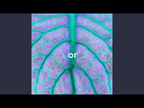 or