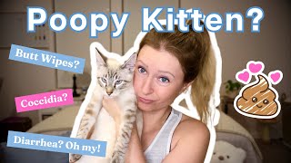 KITTEN WITH DIARRHEA?! How To Bathe A Dirty Poopy Kitten | Loki & Elena