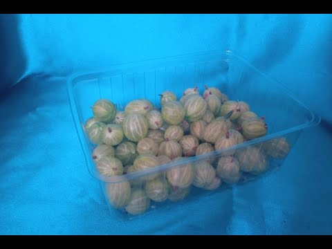 Gombás-epres műanyag doboz 0,5 kg