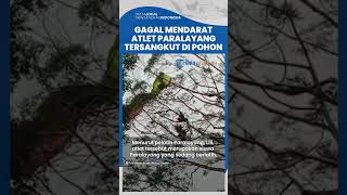 Kecelakaan Tunggal Atlet Paralayang, Gagal Mendarat hingga Tersangkut di Pohon