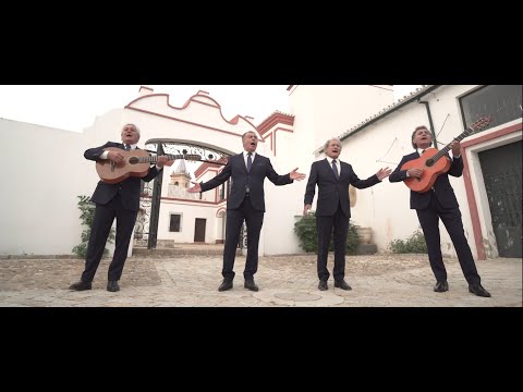 AMIGOS DE GINES - Y NUNCA TENDRÁ FINAL (Vídeo Oficial)