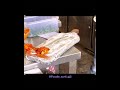 Chicken Lollipop Chicken Leg Piece Best Non Veg Food In Surat Chicken Gravy Street Food