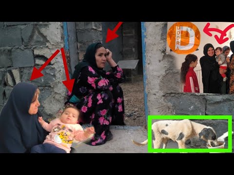 The dog gets lost, Rahima's heart trembles, and the disagreement between Rahima and her grandmother