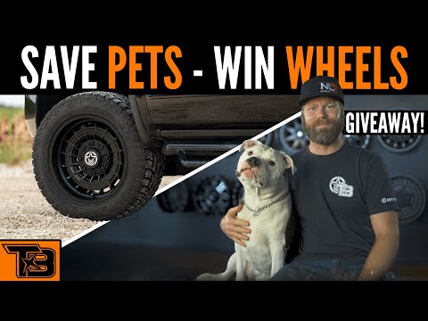Save Pets - Win Wheels!