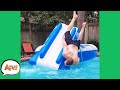 Can You Say, FACE BURN?! ?  | Funny Fails | AFV 2020