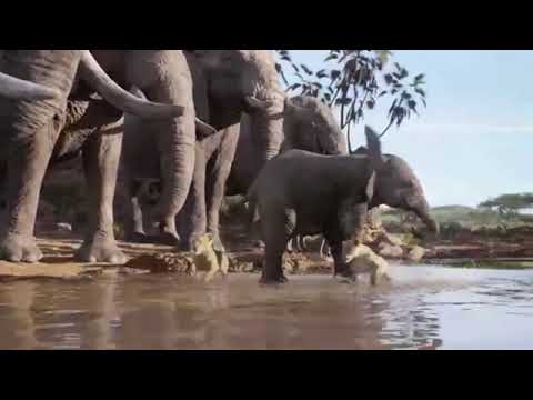 Bagheera (Croc) 2 trailer