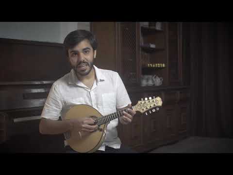 DICA DE BANDOLIM #04 - OS MOVIMENTOS DA PALHETADA