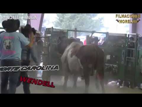 Payasito de yegoseve oax vs el king kong