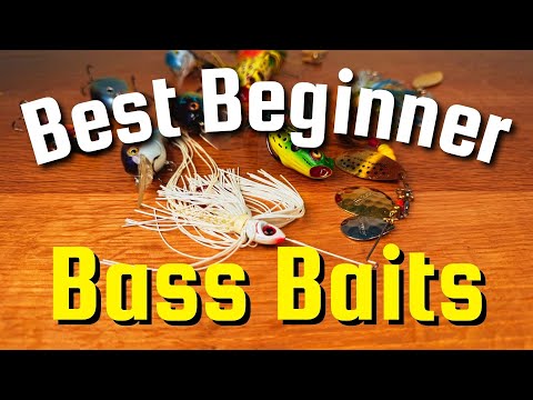 5 Best Beginner Bass Baits | Top Beginner Bass Lures to Catch More Fish