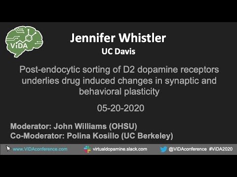 Jennifer Whistler - ViDA 2020