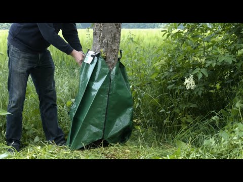 TreeBag Baumbewässerungssack Schnellanleitung