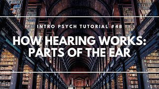 How Hearing Works: Parts of the Ear (Intro Psych Tutorial #48)