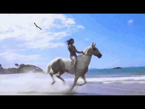 Koko Montana - Se ha puesto el sol (1,962)