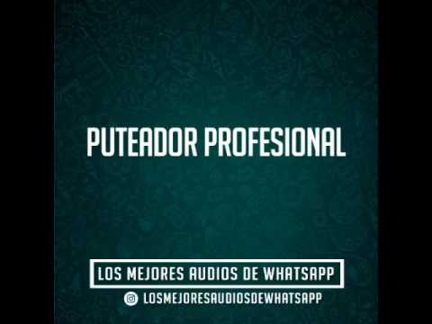 PUTERIO PROFESIONAL