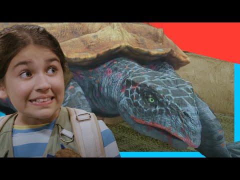 🐢 Reptile Adventure with Dana🦎 | Dinosaurs Discovery for Kids @DinoKids