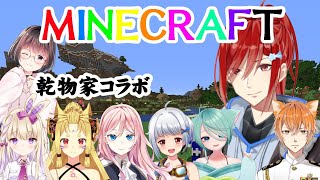 【パイロット視点】MINECRAFT【ひなたぼっこげーまーず】