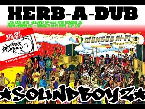 Herb-a-dub by Irie Boss Selecta (La Risspect Krew) live demo