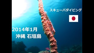 preview picture of video '20140102-05 石垣島 Scuba Diving Ishigaki Island Japan'