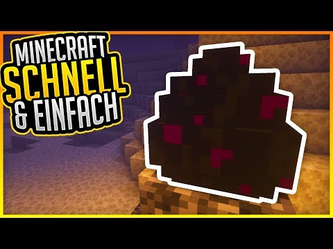Drachenei abbauen! (Tutorial) ✨ Minecraft Schnell und Einfach #12 ✨ ErikOnHisPeriod