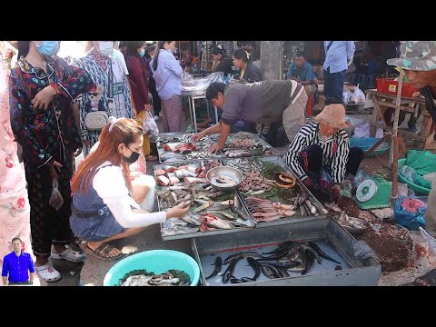 Fresh fish, meat, vegetable, fruit review at Phsar Phoum Russey Chamkadoung | Cambodia Market Tour