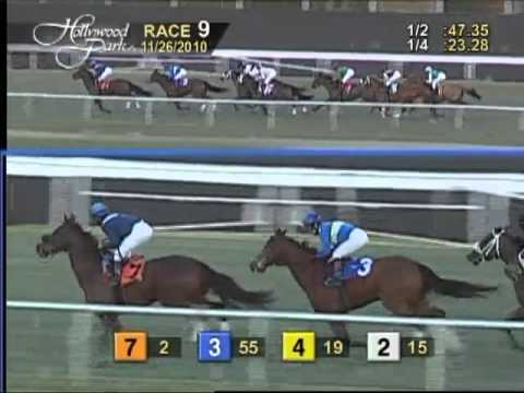 The 30th Running of The Matriarch (GI)