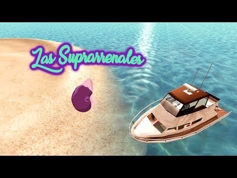Los Mitocondrios ft. Tomás Atkinson - Las Suprarrenales (Glándulas Suprarrenales)