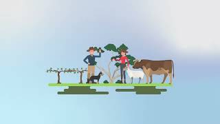 Carbon sequestration and emissions reduction explained!