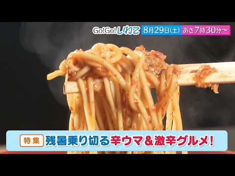 Go!Go!いわて8/29(土) #261