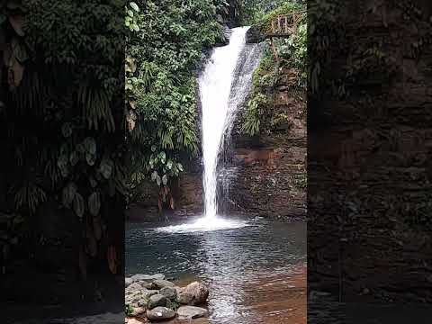cascada la primavera en Gonzalo Pizarro,recinto Amazonas,oriente ecuatoriano