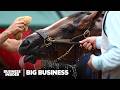How The Fastest Horse In The Kentucky Derby Was Bred And Raised To Win Big Business