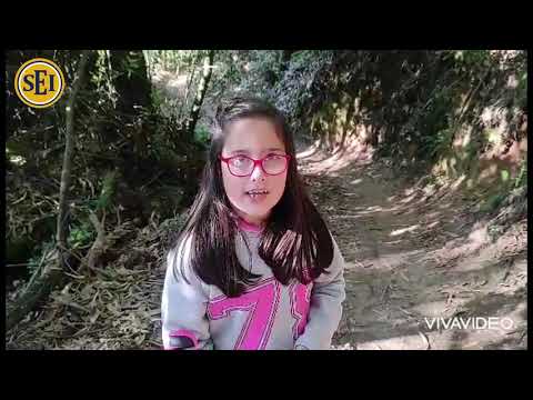 RULEANDO POR MARÍN (Episodio 1)