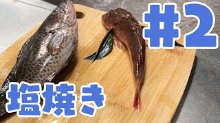 【アウトドア】なんか釣れたらそれを食う #2 (終)【釣り】