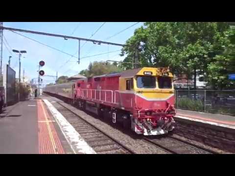 V/Line N461 at Kensington 17/11/19