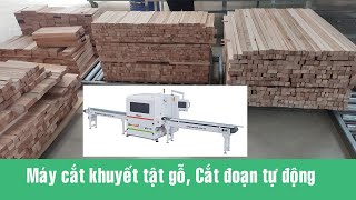 Máy cắt khuyết tật Gỗ, Cắt đoạn tự động WM-S260