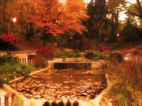 Darkwood Dub - Ogrebotina