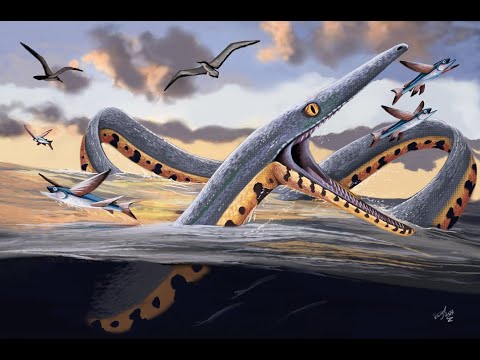 Real Sea Serpents