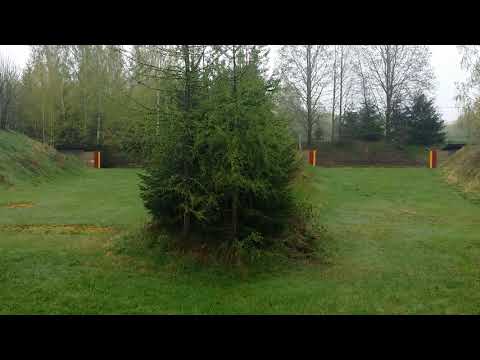 Running target competition, 11.05.2019