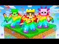 Surviving One OP Block In Minecraft