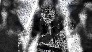 The Wild One Suzi Quatro