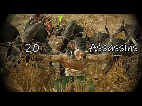 20 Assassins