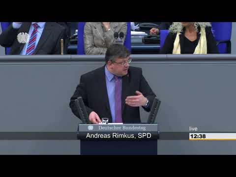 Andreas Rimkus: Änderung des Straßenverkehrsgesetzes [Bundestag 10.03.2017]